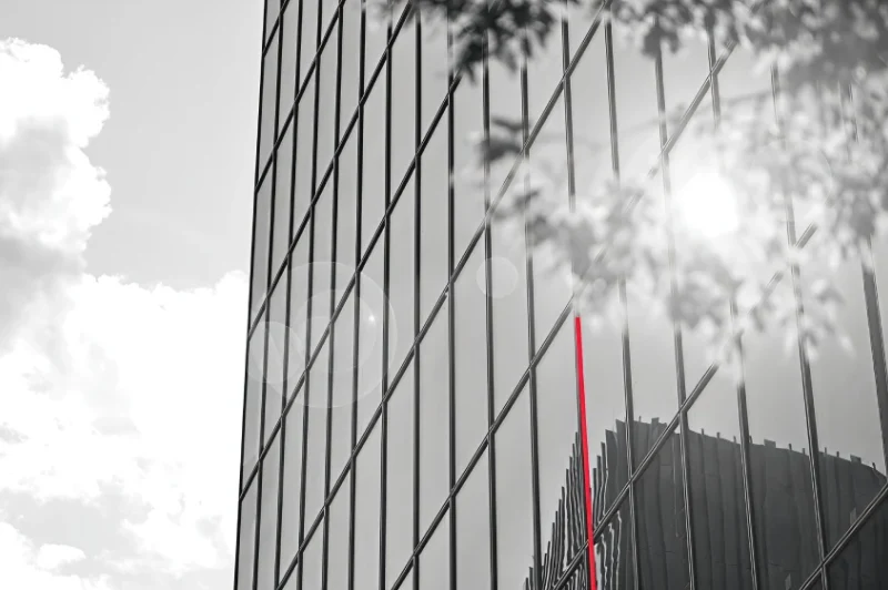 Company Incorporation (LTD)