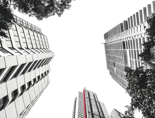 Designing the Right Corporate Structure, Not Just Incorporating One.